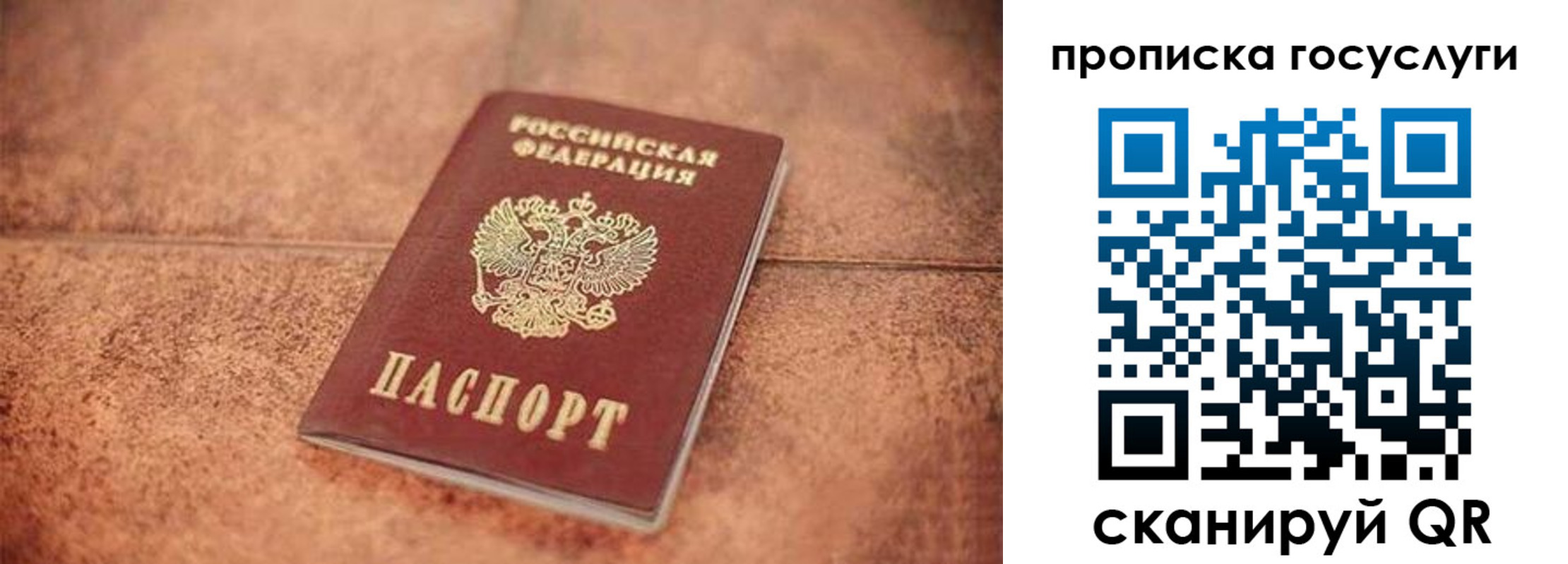 прописка законно в Беломорске